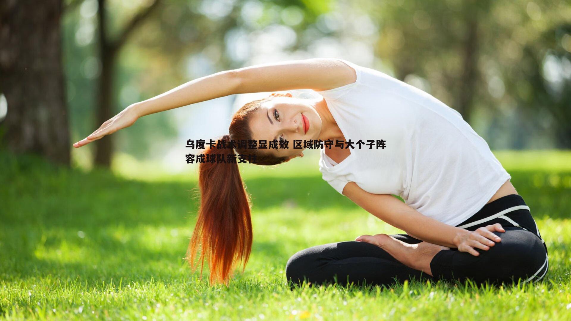 乌度卡战术调整显成效 区域防守与大个子阵容成球队新支柱