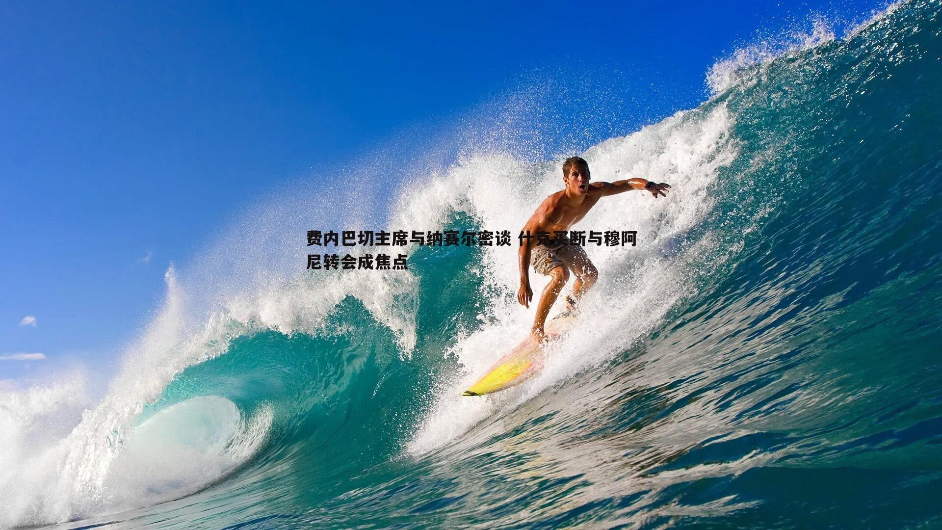 费内巴切主席与纳赛尔密谈 什克买断与穆阿尼转会成焦点
