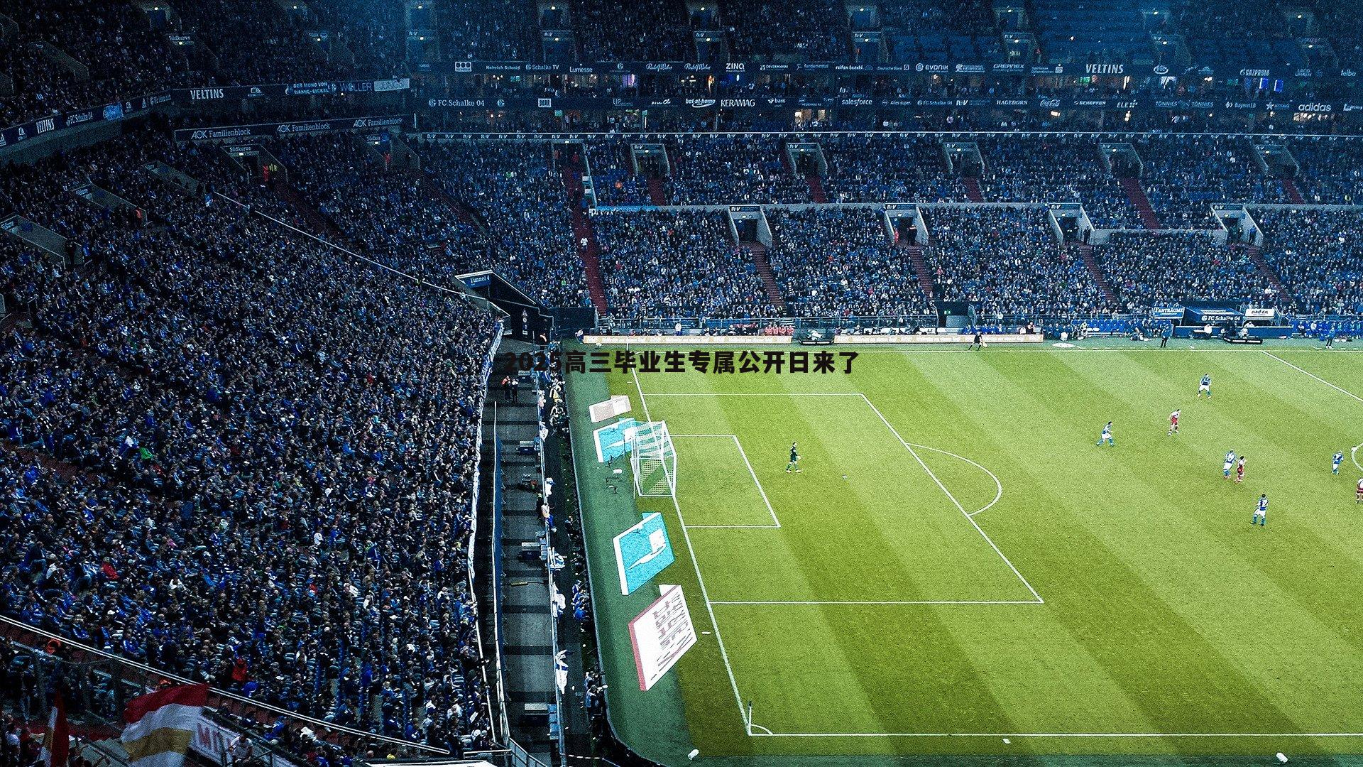 2025高三毕业生专属公开日来了